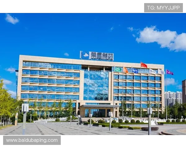 凯发体育集团网址查询常见问题解答帮助用户解决访问难题与安全疑虑